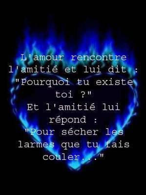 c es la pur verite ca